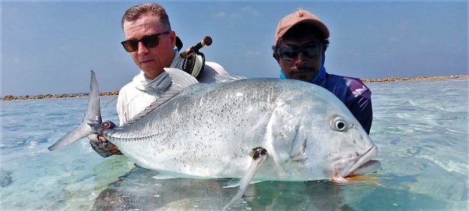 WhatsApp Image 2022-02-22 at 17.08.45.jpeg