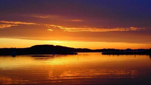 P7251125.jpg P7251125.jpg