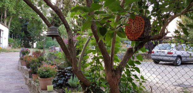 20180709_201332.jpg 20180709_201332.jpg