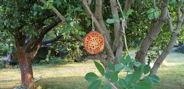 20180709_194735.jpg 20180709_194735.jpg