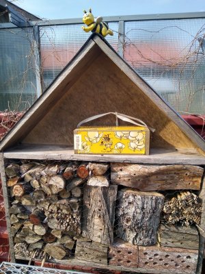 IMG_20220318_131430261_HDR.jpg IMG_20220318_131430261_HDR.jpg