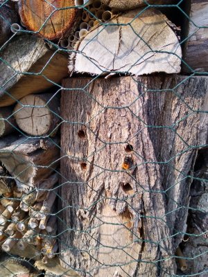 IMG_20220318_131457195_HDR.jpg IMG_20220318_131457195_HDR.jpg