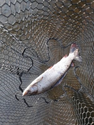 20220318_182649.jpg 20220318_182649.jpg