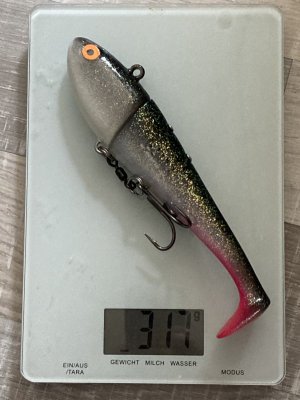 Royber_3.JPG