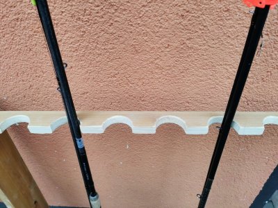 IMG_20220320_172751.jpg IMG_20220320_172751.jpg