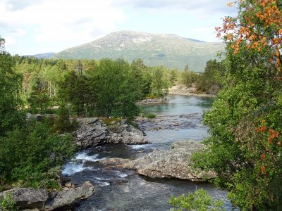 innfjord 2018 554.JPG