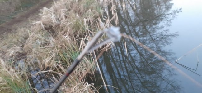 20220325_060440.jpg 20220325_060440.jpg