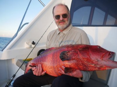 WhatsApp Image 2022-03-25 at 14.16.25.jpeg