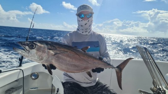 WhatsApp Image 2022-03-25 at 14.21.55.jpeg