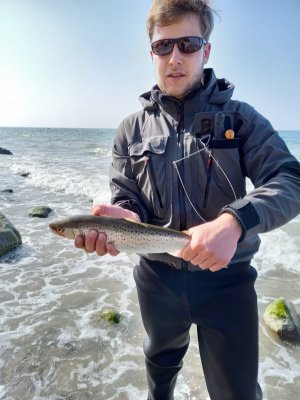 IMG-20220325-WA0001.jpg IMG-20220325-WA0001.jpg