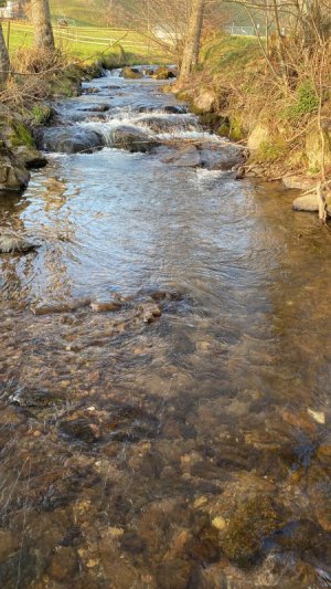 B79008A3-C323-4F4E-AD9D-1AE9635AD2A4.jpeg B79008A3-C323-4F4E-AD9D-1AE9635AD2A4.jpeg