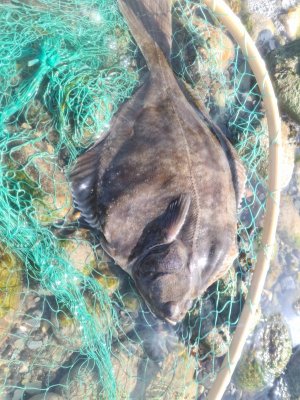 20220325_123158.jpg 20220325_123158.jpg