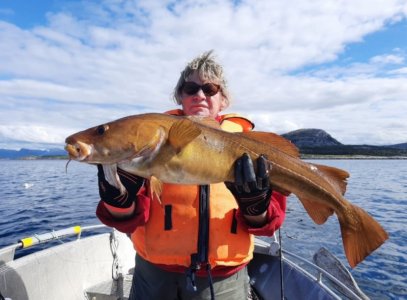 Screenshot_20220328-081828_WhatsApp.jpg Screenshot_20220328-081828_WhatsApp.jpg