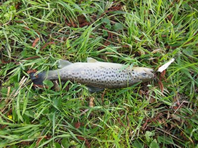 DSCN9791-2.JPG DSCN9791-2.JPG