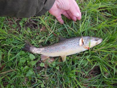 DSCN9795.JPG DSCN9795.JPG