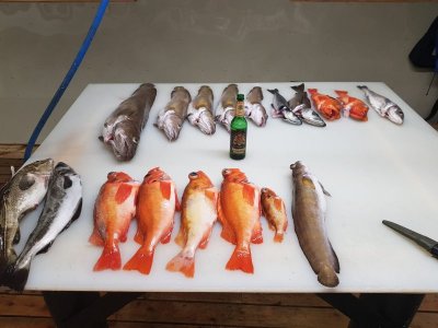 IMG-20200806-WA0000.jpg IMG-20200806-WA0000.jpg