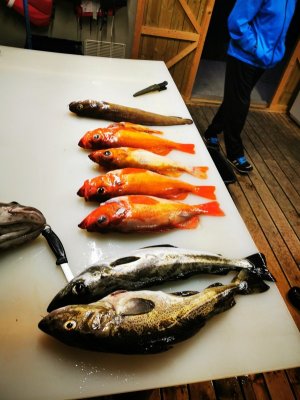 IMG_20200805_223623.jpg IMG_20200805_223623.jpg