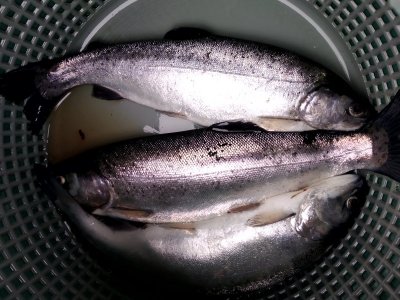 IMG_20220406_173958.jpg IMG_20220406_173958.jpg