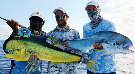 WhatsApp Image 2022-03-31 at 18.25.13 (1).jpeg