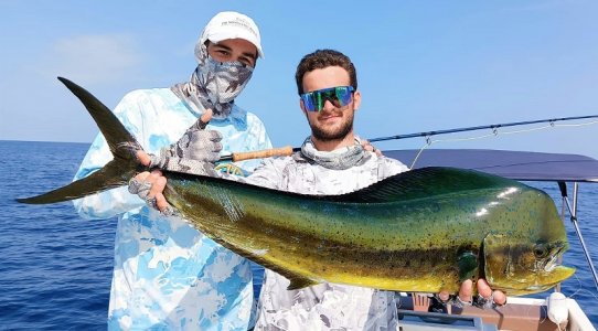 WhatsApp Image 2022-03-31 at 18.25.14.jpeg