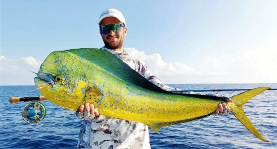 WhatsApp Image 2022-03-31 at 18.25.15.jpeg