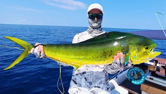 WhatsApp Image 2022-03-31 at 18.25.18.jpeg