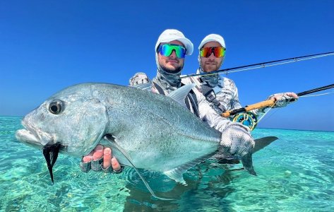 WhatsApp Image 2022-04-01 at 11.04.37.jpeg