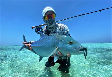 WhatsApp Image 2022-04-01 at 11.04.38.jpeg