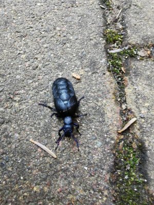 IMG_20220406_155222.jpg IMG_20220406_155222.jpg