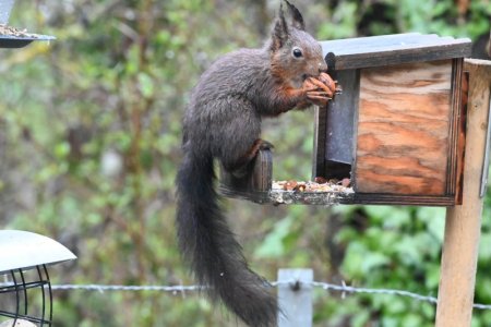 E78741F9-EB32-4002-B034-0E48D12117CE.jpeg E78741F9-EB32-4002-B034-0E48D12117CE.jpeg