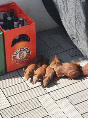 20220412_135314(0).jpg 20220412_135314(0).jpg