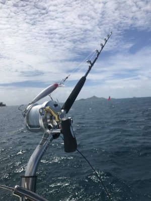 IMG_9920 - Copy.JPG IMG_9920 - Copy.JPG