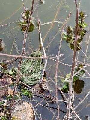 20220413_160547.jpg 20220413_160547.jpg