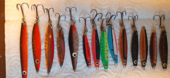 20220415_155016.jpg 20220415_155016.jpg