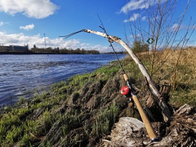 IMG-20220416-WA0000.jpg IMG-20220416-WA0000.jpg