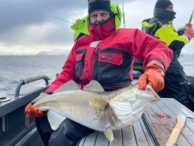 D3C1D464-CB13-4723-99E8-496E88089722.jpeg D3C1D464-CB13-4723-99E8-496E88089722.jpeg