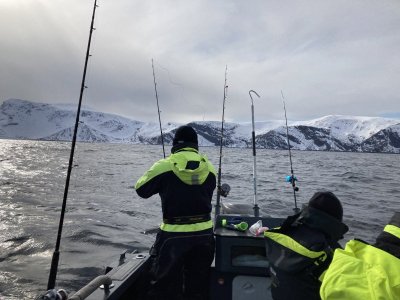 515B85B2-BBE4-493E-A860-BC2B15E54BE9.jpeg 515B85B2-BBE4-493E-A860-BC2B15E54BE9.jpeg