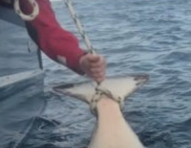 6DFFEFED-0865-4468-B81A-DD88B4590682.jpeg 6DFFEFED-0865-4468-B81A-DD88B4590682.jpeg