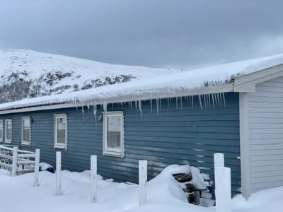 F248A69A-5F6C-4D75-9BCE-774312C9532D.jpeg F248A69A-5F6C-4D75-9BCE-774312C9532D.jpeg