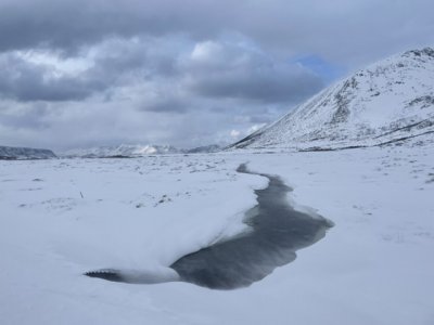 A275D955-A147-4440-A2C1-657C53838441.jpeg A275D955-A147-4440-A2C1-657C53838441.jpeg