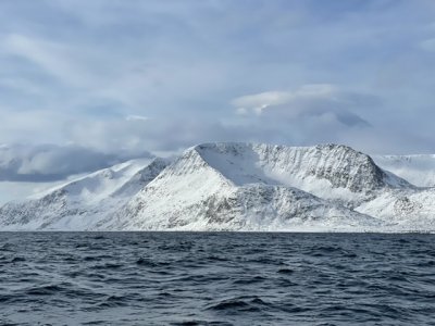 6C5CCA30-C008-41C4-BD96-298A803B0508.jpeg 6C5CCA30-C008-41C4-BD96-298A803B0508.jpeg