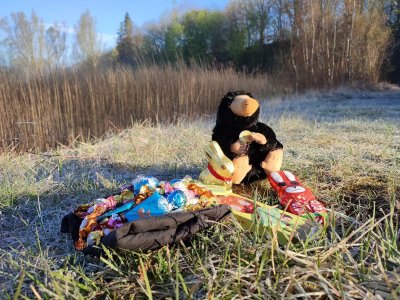 IMG_20220417_075055.jpg IMG_20220417_075055.jpg