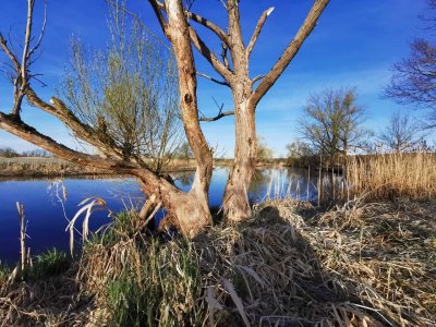 IMG-20220417-WA0009.jpg IMG-20220417-WA0009.jpg