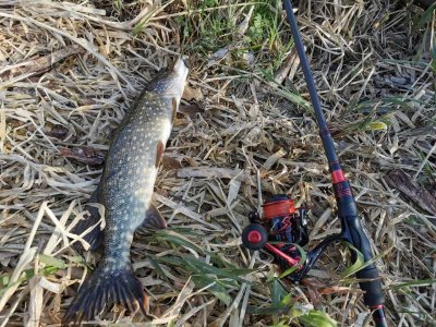 IMG-20220417-WA0010.jpg IMG-20220417-WA0010.jpg