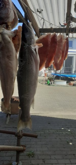 20220417_132436.jpg 20220417_132436.jpg