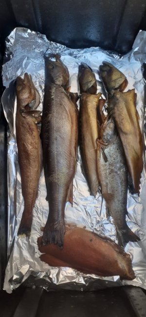 20220417_155317.jpg 20220417_155317.jpg