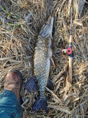 IMG-20220418-WA0003.jpg IMG-20220418-WA0003.jpg