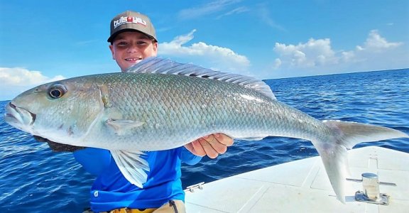 WhatsApp Image 2022-04-11 at 15.43.57.jpeg