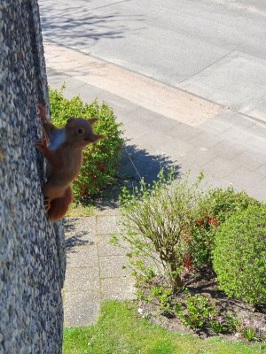 20220419_130518.jpg 20220419_130518.jpg