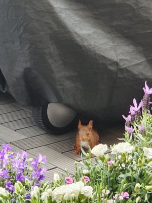 20220414_143134.jpg 20220414_143134.jpg